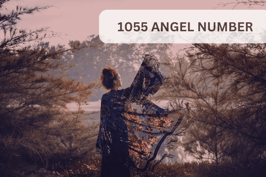 1055 angel number