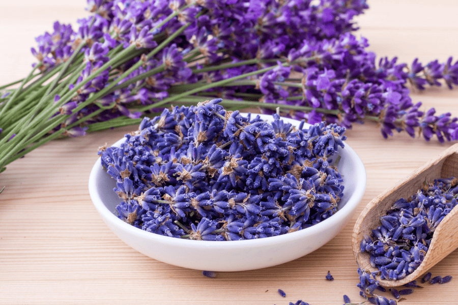 Best Herbs for Zodiac Signs to Elevate Your Sign Essence (+ Spices & Teas)